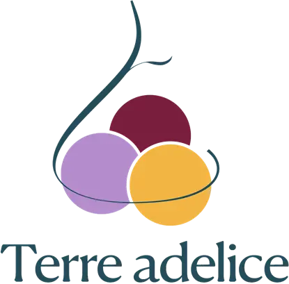 Logo glace Terre Adélice